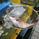 성복수산 - 천안시 동남구 신덕리1길 28 | 성복수산