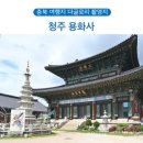 오송양청성인게임장 | 청주 가볼만한곳 베스트10 여행 코스 맛집 확인하기