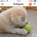 동연농장 이미지