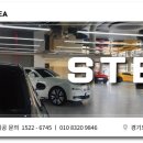 다이노 클린