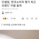 인셀덤 한국