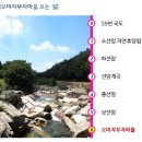 오미 농산물 이미지