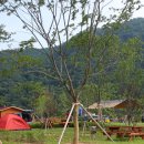 홍천강 오토캠핑장 이미지