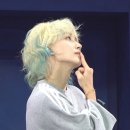 남쪽바람