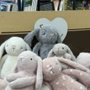 이뮨하우스 | [후기포함] 나만 알고 싶은 뉴질랜드 쇼핑리스트...팩앤세이브 케미스트리웨어하우스 쇼핑리스트 추천