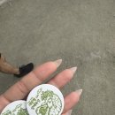 천일목장 이미지