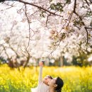 스테이그라피 이미지