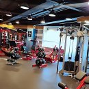 MS휘트니스클럽 | 헬스장? 아니, 여기 완전 딴 세상인데?