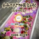 온누리장례서비스