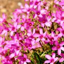 군외초등학교 이미지