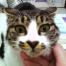 인수당약국 이미지