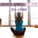 정화양발 이미지