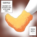 수정-82 | 제78회 한능검 1급 합격 후기 ｜ 직장병행 / 7일 벼락치기 / 가채점 82