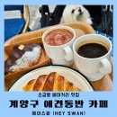 헤이스짐 | 계양구카페 헤이스완 소금빵 맛집 애견동반 카페 추천