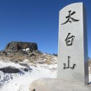 차돌배기로 이미지