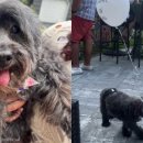 유유자적 이미지