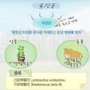 소성축산2 | 유기농과 유기농 자재