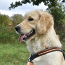 강아지와고양이나라 동물병원 이미지