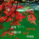수요일 - 종로구 인사동길 36 | 수요일