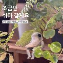 그린루프스 이미지