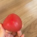 동원핫도그호떡오뎅 | 당진여행. 초록초록이 예쁜 당진 (아미성한옥펜션, 아미미술관, 카페피어라, 우렁이박사, 삽교호 호떡인생)
