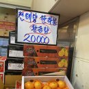 비타민C청과