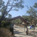 파라스파라 서울 | 서울 파라스파라 우이동스타벅스 안토점 방문 후기