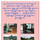 엔조이여행사 이미지