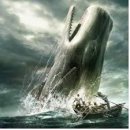 모비딕2019 | 모비딕 후기 - 2030들은 복수란 소재를 지겨워한다.