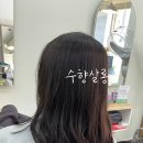 수향미용실 이미지