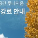 루나지움
