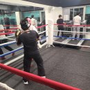 고잔복싱 이미지