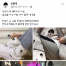 패티즘 이미지