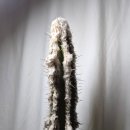 복실농장 이미지