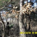 일출농장 이미지