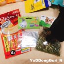 캉캉펫