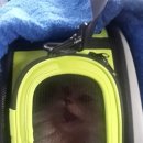 이리온 아브뉴프랑 판교점 이미지