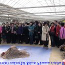 동문그린 이미지