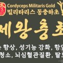 염색방