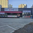 초강수의물꽁해물 네이버블로그