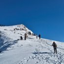 믿음카프라자 | 중앙역 OBB 일등석, 인스브루크 아들러스호텔 조식 후기, 인스브루크카드 현장구매 노르트케테 케이블카