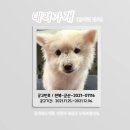군산시-01116 네이버블로그