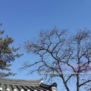 동춘당한의원 이미지