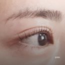 석계역 4번출구 | 라온뷰티 석계점 | 석계역 속눈썹펌 기린이 된 후기