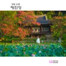 병산2리제2농로 | 경북 안동 ::체화정(棣華亭)【26년8월2일】
