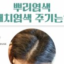 컬러앤하우스예산점