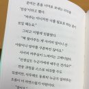 연하우스 | 『2학기 한정 도서부』 📚| 연여름 | 위즈덤하우스 | 위픽 | 책후기 No.11