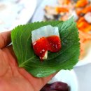 감포별미횟집 이미지