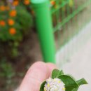 해피농장 이미지