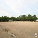 신트리공원 테니스장 이미지